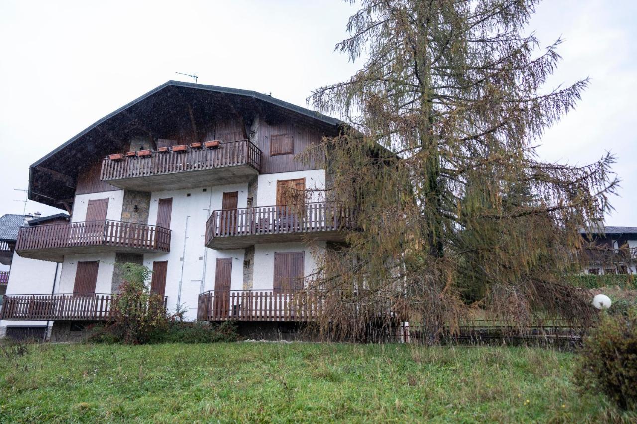181 - Casa Arcobaleno Tra Le Alpi, Piste Da Sci A 15 Minuti Daire Castione della Presolana Dış mekan fotoğraf