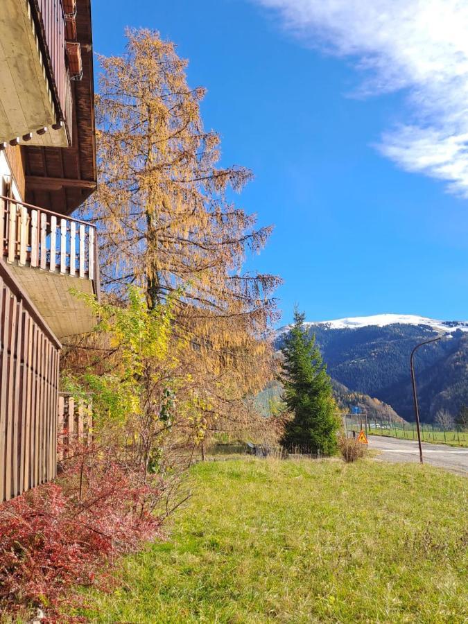 181 - Casa Arcobaleno Tra Le Alpi, Piste Da Sci A 15 Minuti Daire Castione della Presolana Dış mekan fotoğraf