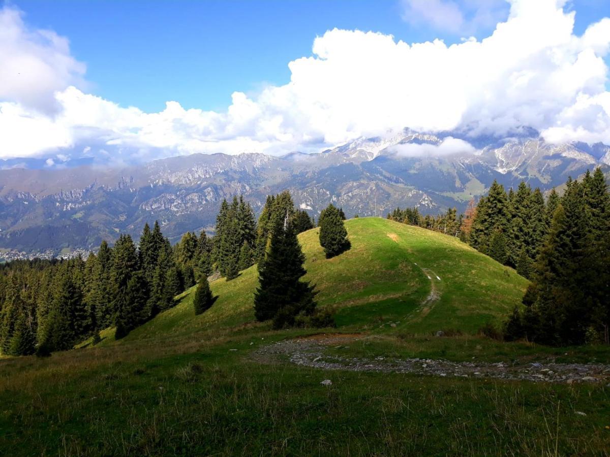 181 - Casa Arcobaleno Tra Le Alpi, Piste Da Sci A 15 Minuti Daire Castione della Presolana Dış mekan fotoğraf